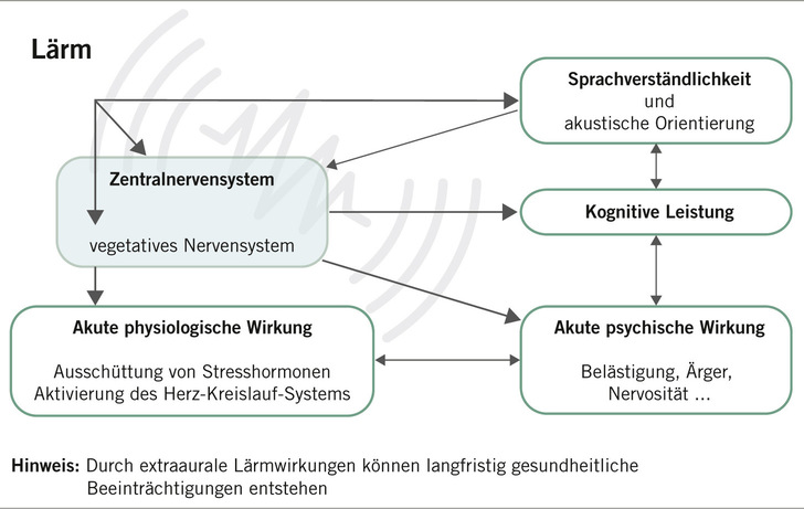 Abb. 1:    Vereinfachte Darstellung akuter extraauraler Lärmwirkungen (mod. nach ASR A3.7)
