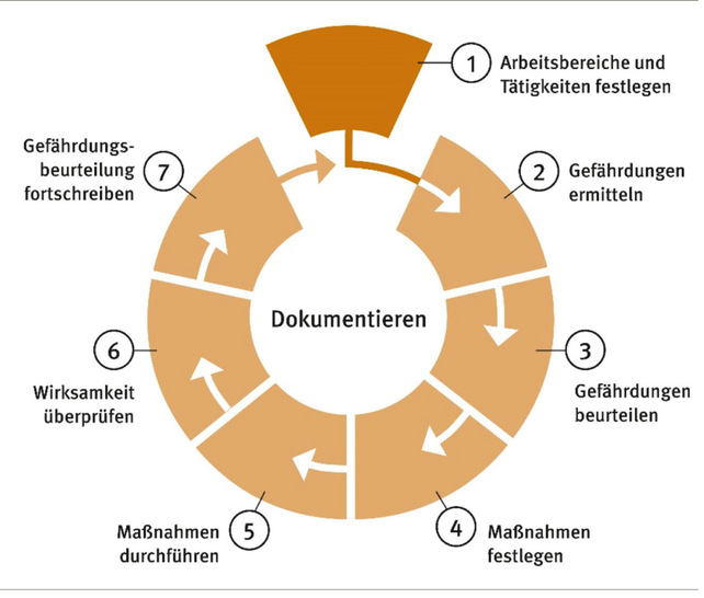 Abb. 1:    Sieben Schritte der Gefährdungsbeurteilung (Quelle: BGW)