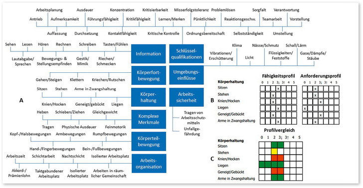 Abb. 1:    IMBA und MARIE.  A:  Merkmale und Dimensionen des Dokumentations- und Profilvergleichsverfahrens IMBA;  B:  Ausschnitte aus IMBA-
Fähigkeits- und Anforderungsprofilen;  C:  Ausschnitt aus einem softwaregestützten Profilvergleich ( ©  iqpr GmbH)