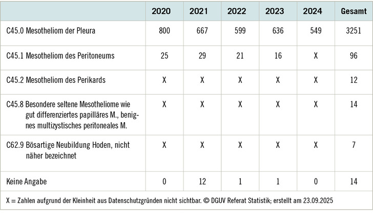 Tabelle 1:   Erstmals anerkannte Fälle von BK-Nr. 4105 im Zeitraum 2020 bis 2024 (Gewerbliche Berufsgenossenschaften und Unfallversicherungsträger der öffentlichen Hand)