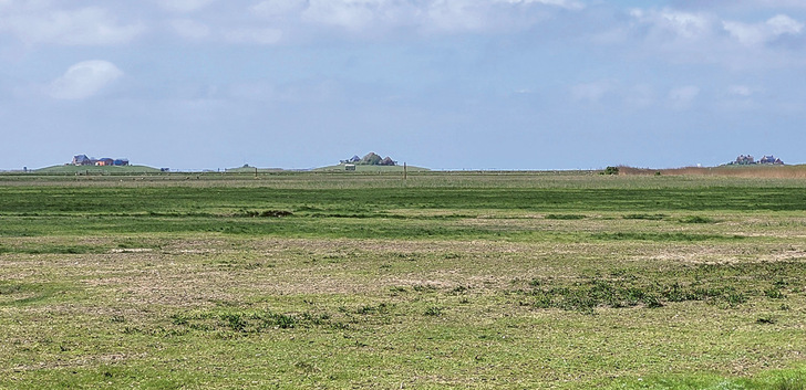 Abb. 1:   Warften auf Hooge