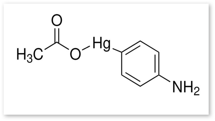 Abb. 1:    Strukturformel 4-Aminophenyl-Quecksilberacetat