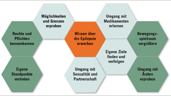 
 Abb. 1: 
 Hauptaufgabe des BBW ist die Schaffung von Eigenverantwortung der Patienten
