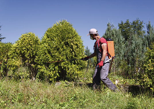 <p>
Gibt es einen Zusammenhang zwischen Pestiziden und Morbus Parkinson?
</p> - © © iStock/Thinkstock

