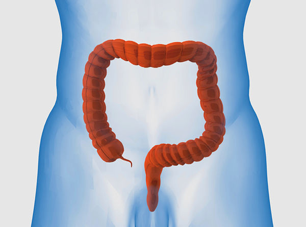 
Darmkrebs-Screenings erhöhen die Chance zur frühzeitigen Krebserkennung
