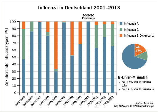 
 Abb. 1: 
 Influenza in Deutschland 2001–2013. In den vergangenen Jahren stimmten Influenza-B-Impfstamm und zirkulierende Influenza-B-Viruslinie häufig nicht überein, so dass jetzt auch zwei B-Virusstämme für tetravalente Grippe-Impfstoffe empfohlen werden. Definition „Mismatch“: mindestens 50 % der Influenza-B-Grippe-Fälle wurden durch den nicht im Impfstoff enthaltenen B-Stamm ausgelöst (Saisons 2003/04, 2004/05, 2005/06, 2006/07, 2007/08, 2008/09)
