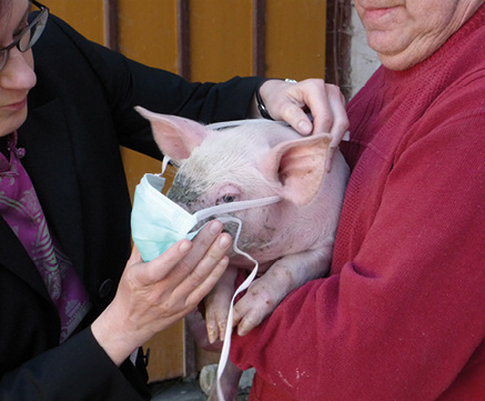 
Auch auf deutschen Bauernhöfen gibt es weitreichende Schutzmaßnahmen
