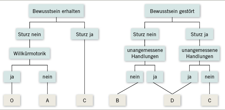 
 Abb. 1: 
 Algorithmus zur Graduierung der Anfallsschwere nach der BGI 585
