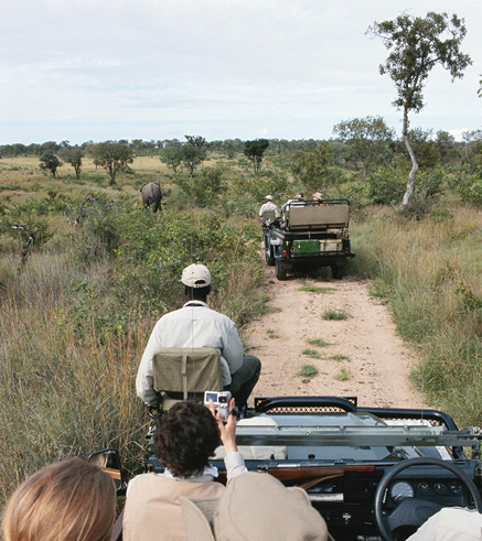 



Durch den zunehmenden Tourismus kommt es auch häufiger zu Konfrontationen mit wilden Tieren
