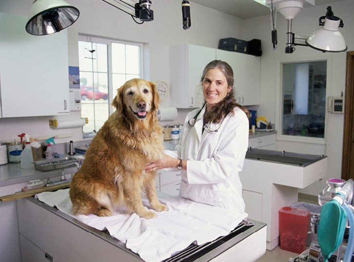 



Die TRBA 250 findet auch Anwendung in Tierkliniken und Kleintierpraxen
