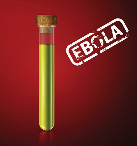 



Der aktuelle Ausbruch in Westafrika ist die größte bis-her dokumentierte Ebola-Epidemie
