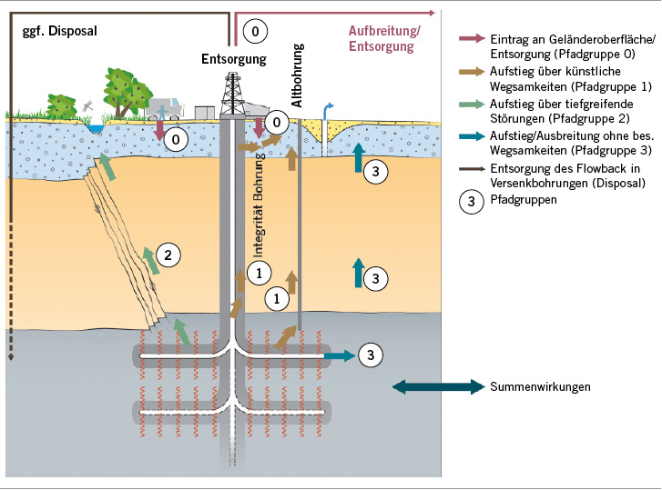 
 Abb. 1: 
 Schematische Darstellung potenzieller Wirkungspfade (Quelle: ahu AG; UBA 2012)
