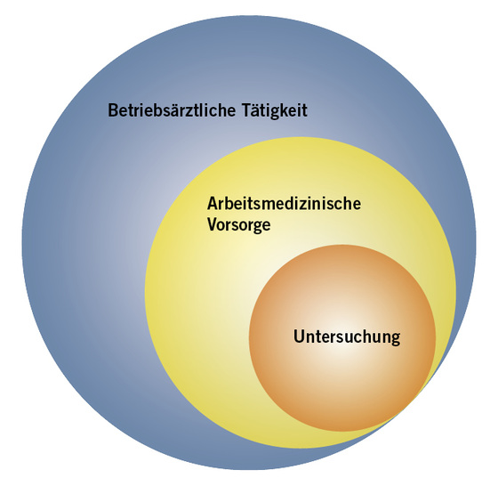 
 Abb. 1: 
 Untersuchungen im Rahmen der arbeitsmedizinischen Vorsorge nach ArbMedVV stellen nur einen kleinen Teil der betriebsärztlichen Tätigkeit dar

