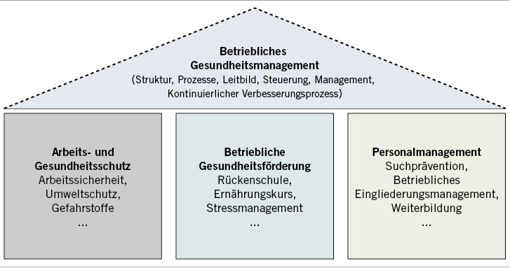 
 Abb. 1 
 Grundstruktur des BGM (nach Rimbach 2013)
