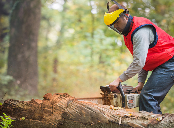 © Thinkstock/fotokostic