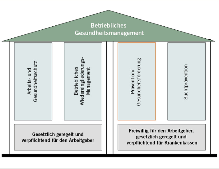 
 Abb. 1 
 Vier Säulen des Betrieblichen Gesundheitsmanagements. Quelle: eigene Darstellung, in Anlehnung an Wienemann u. Schumann (2011)
