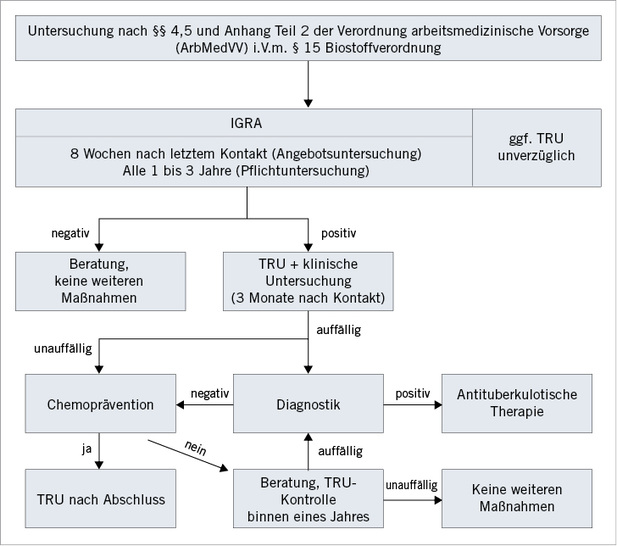 
 Abb. 1: 
 Flussdiagram für Vorgehen bei Vorsorgeuntersuchungen nach der ArbMedVV (TRU = Thorax-Röntgen-Untersuchung; IGRA = in Anlehnung an den vom Deutschen Zentralkomitee zur Bekämpfung der Tuberkulose (DZK) empfohlenen Ablauf der Umgebungsuntersuchungen
