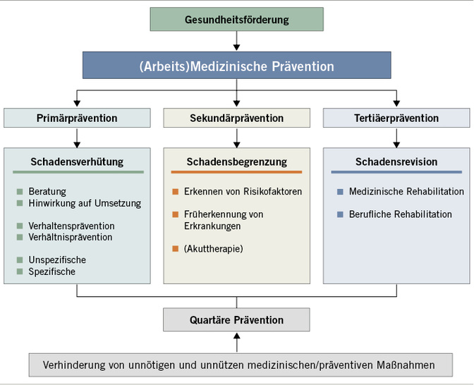 
 Abb. 1: 
 Selbstverständnis und Bereiche einer präventiven Arbeitsmedizin (mod. nach DGAUM 2015, s. „Weitere Infos“, und Letzel u. Nowak 2007)
