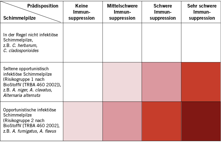 
 Abb. 1: 
 Risikomatrix 1 – Infektionsgefährdung durch Schimmelpilze (je dunkler ein Kästchen ist, desto größer ist das mögliche gesundheitliche Risiko). Quelle: Wiesmüller et al. (2016)
