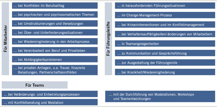 
 Abb. 1: 
 Auszug aus dem Portfolio der Sozialberatung
