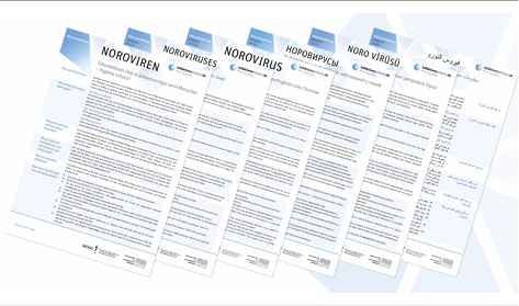 
 Abb. 1: 
 Erregersteckbriefe: Merkblätter zu 26 Infektionskrankheiten in sechs Sprachen
