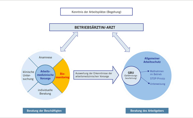  Abb. 1:    Zentrale Rolle des Betriebsarztes (eigene Darstellung)