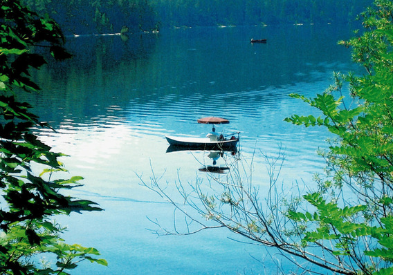 Abb. 1:    „Ressourcenbilder“ helfen dabei, ein persönliches Mottoziel (Haltungsziel) zu entwickeln, um in einer gelassenen inneren Haltung den Anforderungen des Alltags zu begegnen