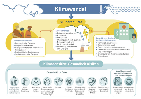 Abb. 1:   Überblick über klimasensitive Gesundheitsrisiken, ihre Expositionswege und Faktoren, die die Vulnerabilität beeinflussen. Umweltfaktoren und soziale Determinanten sowie Faktoren der öffentlichen Gesundheit spielen eine Rolle (Quelle: WHO, https://www.who.int/news-room/fact-sheets/detail/climate-change-and-health; übersetzt 1 )