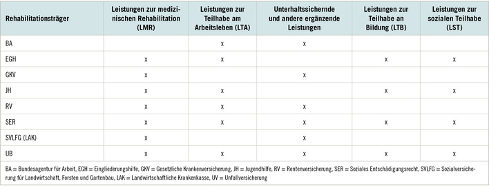 Tabelle 1:   Leistungen der Rehabilitationsträger zur beruflichen Rehabilitation (Quelle: BAR e.V. 2021)