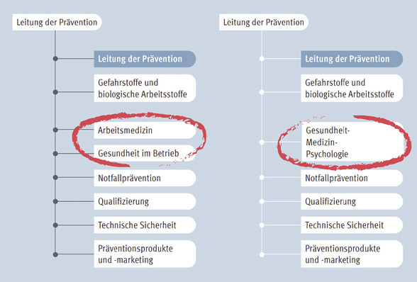 Abb. 1:   Organisationsstruktur