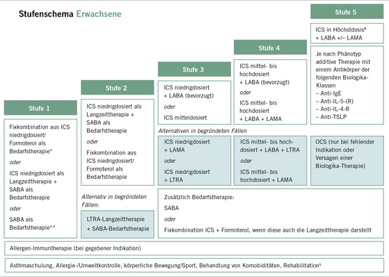 Abb. 1:   Stufenschema der Asthma-Therapie bei Erwachsenen (aus Lommatzsch et al. 2024). 
 Abkürzungen:   ICS: Inhalative Kortikosteroide, IgE: Immunglobulin E, IL: Interleukin, LABA: Langwirksame Beta-2-Sympathomimetika, LAMA: Langwirksame Anticholinergika, LTRA: Leukotrienrezeptorantagonisten, OCS: Orale Kortikosteroide, SABA: Kurzwirksame Beta-2-Sympythomimetika, TSLP: Thymisches stromales Lymphopoietin. § Eine Rehabilitationsmaßnahme sollte spätestens ab Stufe 4 angestrebt werden. *Bislang als Bedarfstherapie formal nicht zugelassen, aber seitens der GINA (als präferierte Option) und seitens der NVL Asthma empfohlen. **Eine SABA-Bedarfstherapie ist einer ICS/Formoterol-Bedarfstherapie hinsichtlich der Prävention von Exazerbationen unterlegen. # Gemäß ICS-Dosierungstabelle