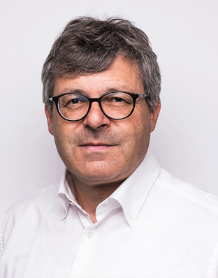 Prof. Dr.-Ing- Martin Schmauder