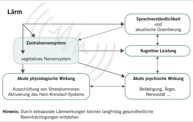 Abb. 1:    Vereinfachte Darstellung akuter extraauraler Lärmwirkungen (mod. nach ASR A3.7)