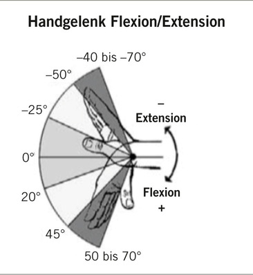 Abb. 1:   Extension/Flexion des Handgelenks (Quelle: Höhne-Hückstädt et al. 2007)