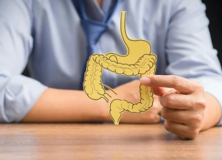 Alt-Text: „Ergonomiestudie: Person präsentiert ein gelbes Modell einer Wirbelsäule und Verdauungsorgane zur Veranschaulichung von präventiven Maßnahmen für Arbeitsplatzgesundheit. - © meeboonstudio – stock.adobe.com