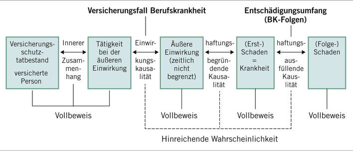 Abb. 1:    Wesentliche Bearbeitungsschritte bei der Prüfung zum Vorliegen einer Berufskrankheit nach Brandenburg (DGUV 2024, s. Online-Quellen)