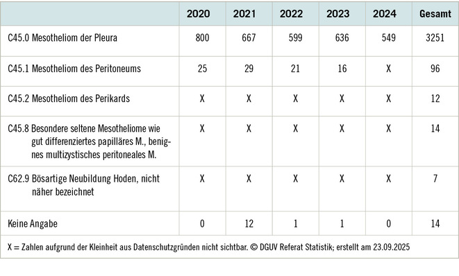Tabelle 1:   Erstmals anerkannte Fälle von BK-Nr. 4105 im Zeitraum 2020 bis 2024 (Gewerbliche Berufsgenossenschaften und Unfallversicherungsträger der öffentlichen Hand)