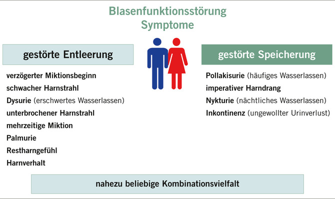 Abb. 1:    Geschlechtsunabhängige Symptome bei Blasenschwäche (eigene Darstellung)