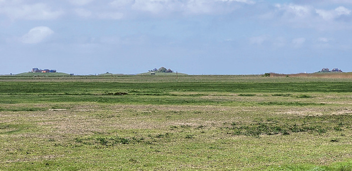 Abb. 1:   Warften auf Hooge