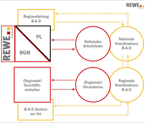 
 Abb. 1: 
 Die schematische Betreuungsstruktur in der REWE-Group

