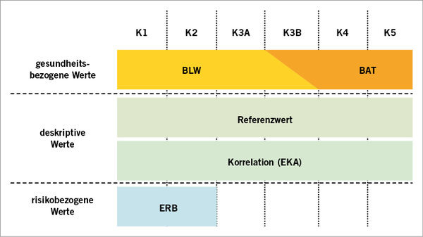 
 Abb. 1: 
 Beurteilungsschema für Stoffe, die den Kategorien für krebserzeugende Arbeitsstoffe der DFG-Senatskommission zugeordnet sind



