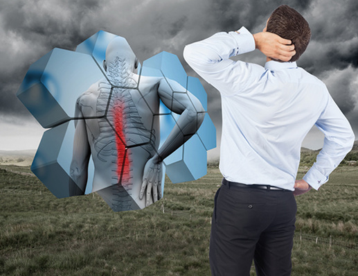 



Bei der Berufskrankheitenkonferenz im Dezember 2013 in Brüssel zählten Muskel-Skelett-Erkrankungen zu den Schwerpunkten
