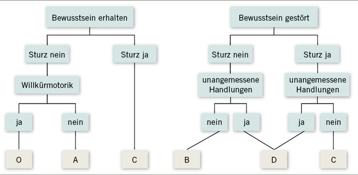 
 Abb. 1: 
 Algorithmus zur Graduierung der Anfallsschwere nach der BGI 585
