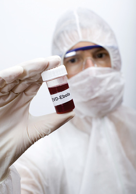 



Seit Dezember 2013 wütet das Ebolafieber vor allem in westafrikanischen Ländern
