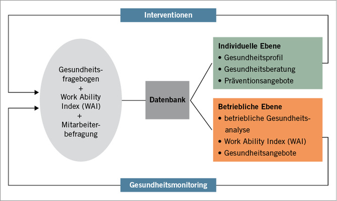 
 Abb. 1: 
 Aufbau des online-gestützten BGM-Profils



