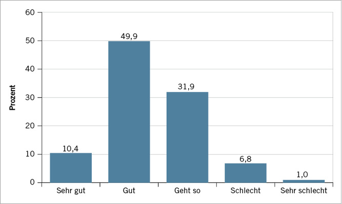 
 Abb. 1: 
 Wie schätzen die befragten Betreuer das Arbeitsklima in ihrer Einrichtung ein? (n = 395)



