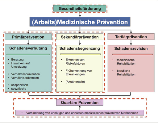 
 Abb. 1: 
 Bereiche der (arbeits)medizinischen Prävention; die primär im PrävG berücksichtigten Bereiche sind rot umrandet (mod. nach Letzel et al. 2016)
