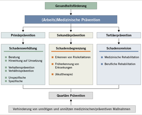 
 Abb. 1: 
 Selbstverständnis und Bereiche einer präventiven Arbeitsmedizin (mod. nach DGAUM 2015, s. „Weitere Infos“, und Letzel u. Nowak 2007)
