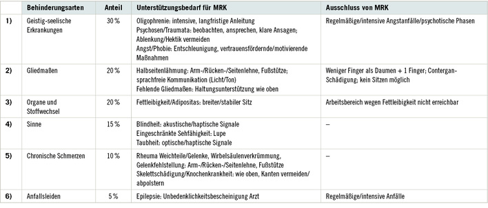 
 Tabelle 1: 
 Behinderungsarten in der Belegschaft der Inklusionsfirma ISAK gGmbH
