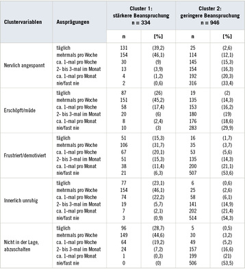 
 Tabelle 1: 
 Häufigkeitsverteilungen der Clustervariablen



